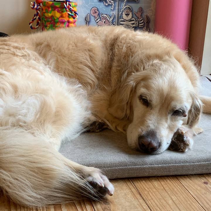 0a55591b 54b5 437e 9a7e 69a90228e41e 1560581889427