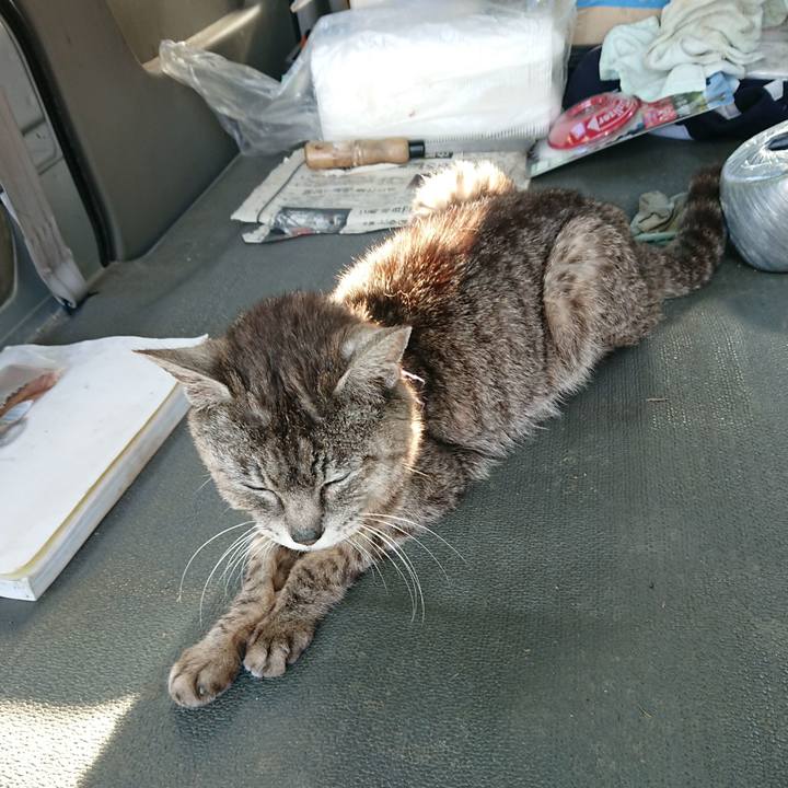 0a5559ec 4b83 49fd 8bfa e3292c1491f4 1595059032105