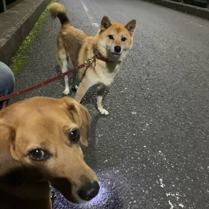 0a5578c2 2ffe 4a46 8c6b 4225639fcd0b 1571824265382