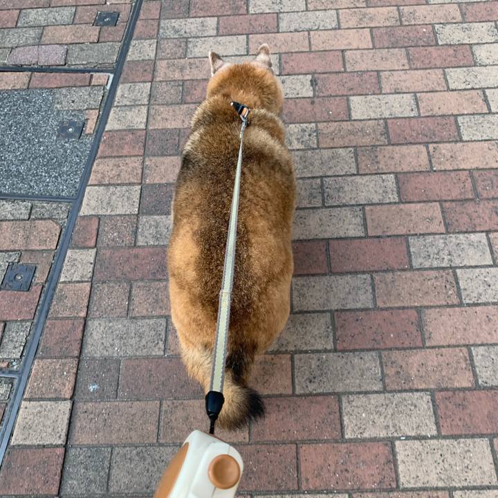 0a55a5f1 b75c 4d61 becd c704494710b0 1649804621011