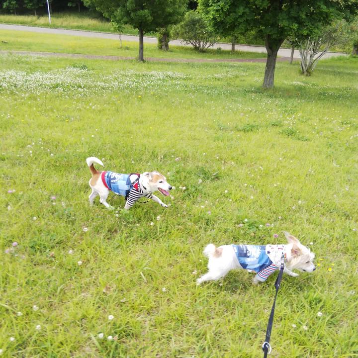 0a55bbe2 c7a6 4bd8 acea acc38b5ffe54 1615080507477