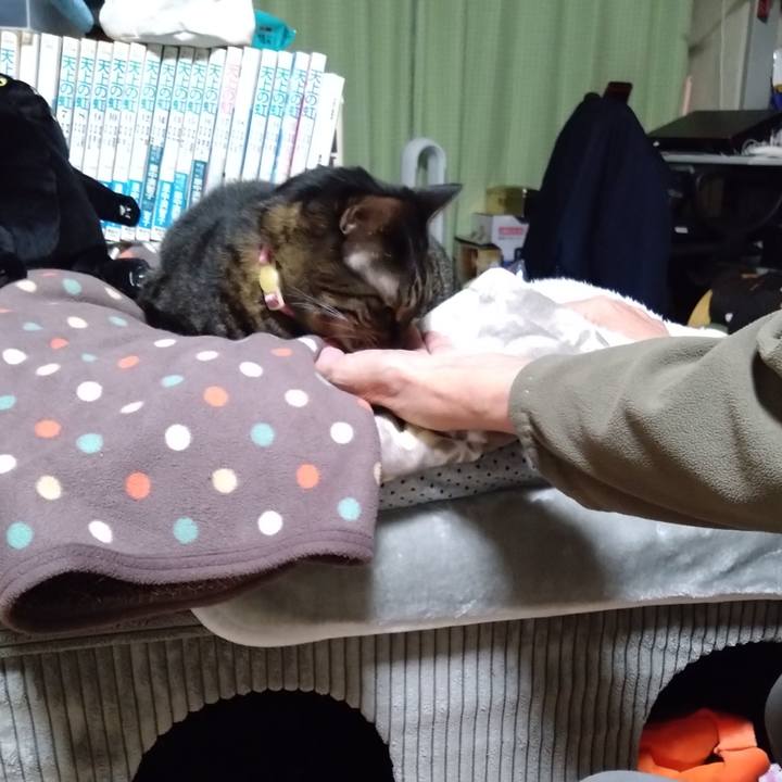 0a55e96d 787f 4896 9ea3 b734f4adc4ce 1769694803046