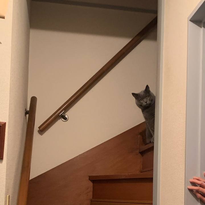 0a5618b5 71d7 45c9 84d4 89a24cf73313 1772970785258