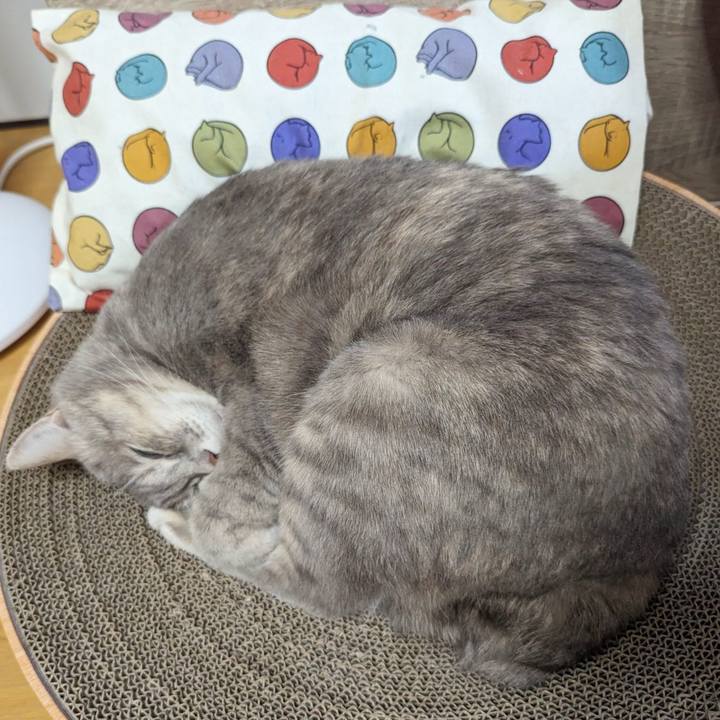 0a563937 8fb0 48d4 8d63 d477938649d9 1702441296284