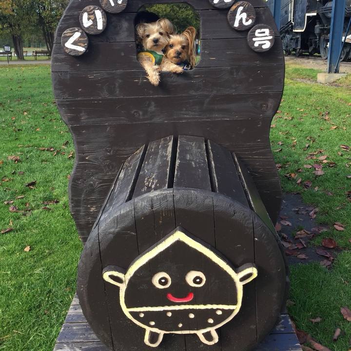 0a565890 c48e 45a5 a6a9 59332f5e666a 1541154012627