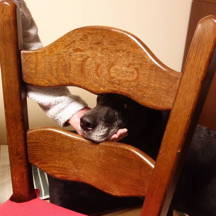 0a565cc4 0ec2 488d a42d c5d428e27e0b 1734259557877