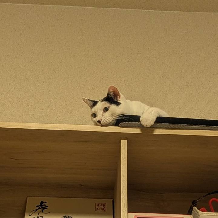 0a56a1c6 b806 4c23 8977 e762b8b2194f 1759153964392