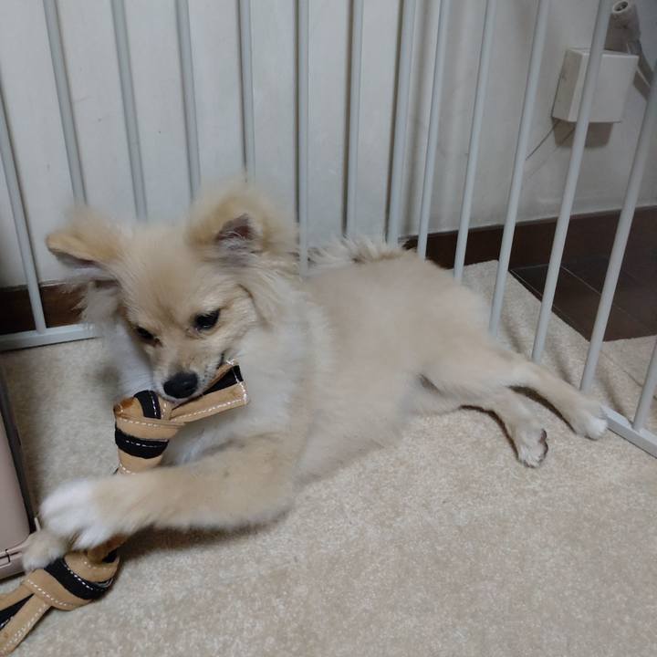 0a56e295 57fa 4d53 8f19 334833dc9677 1729468517033