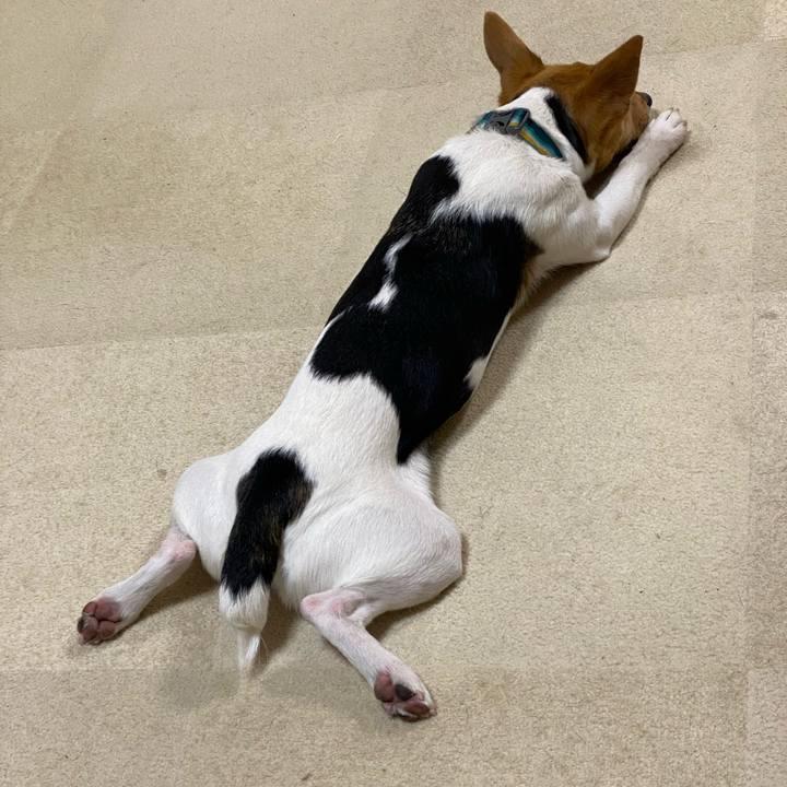 0a57267a 0d2a 46d0 bcd2 b82bd8013f8c 1773748420904