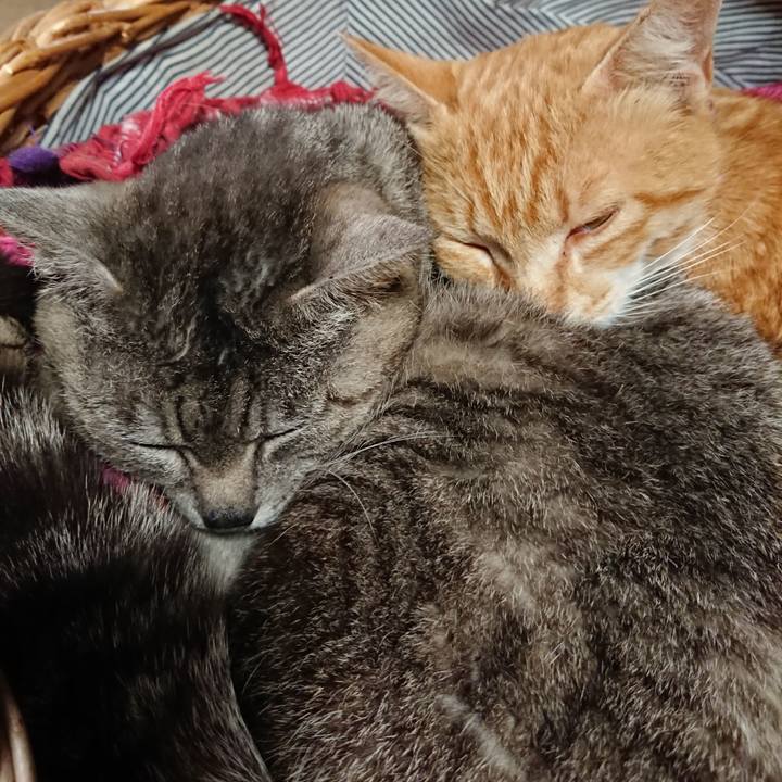 0a574860 8a08 4aae b223 0df56d3516c9 1560575364130