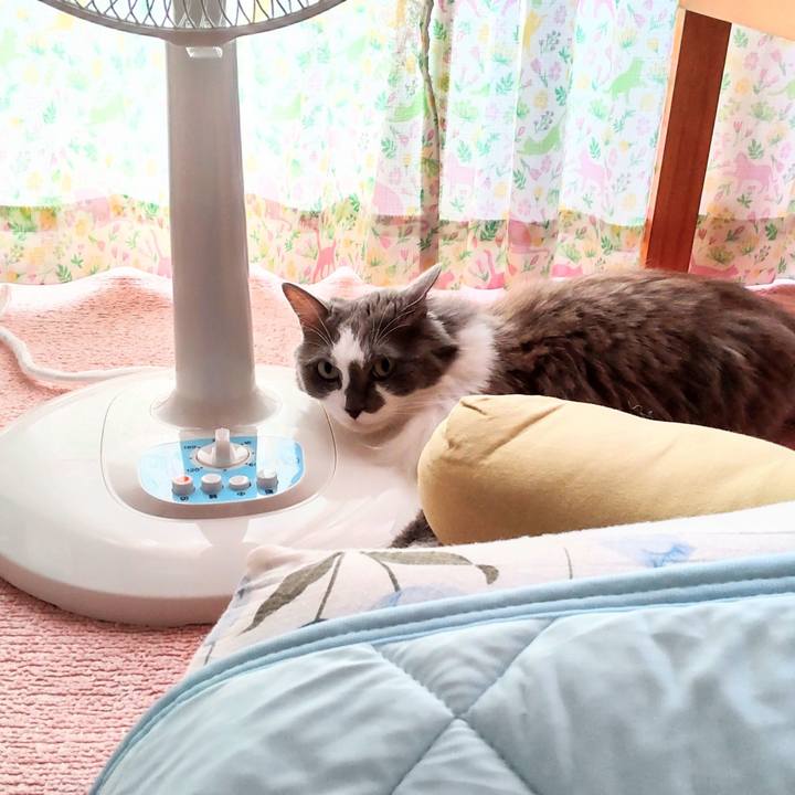 0a575530 0375 4c48 ab41 c7254dea0553 1723884431238