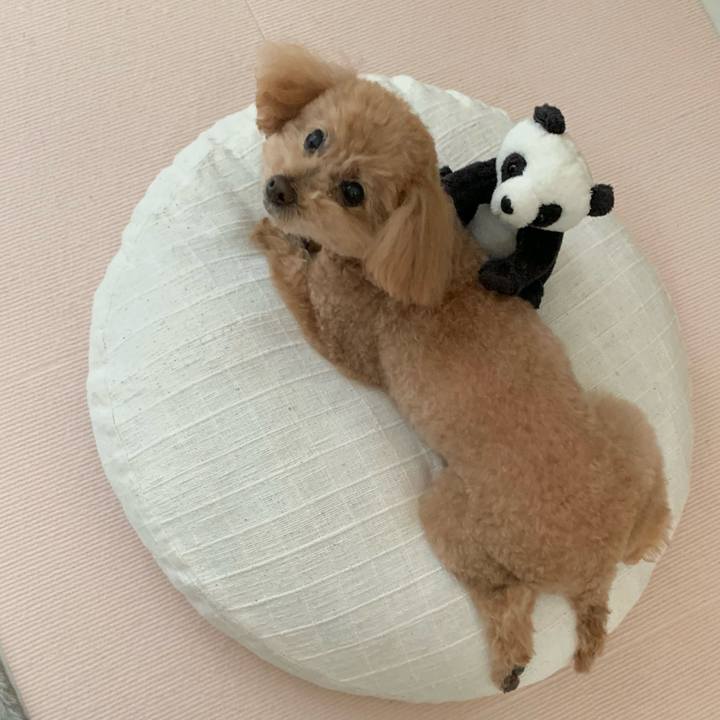 0a57771e 1a37 406c a265 8136ab9e44f3 1768706099456