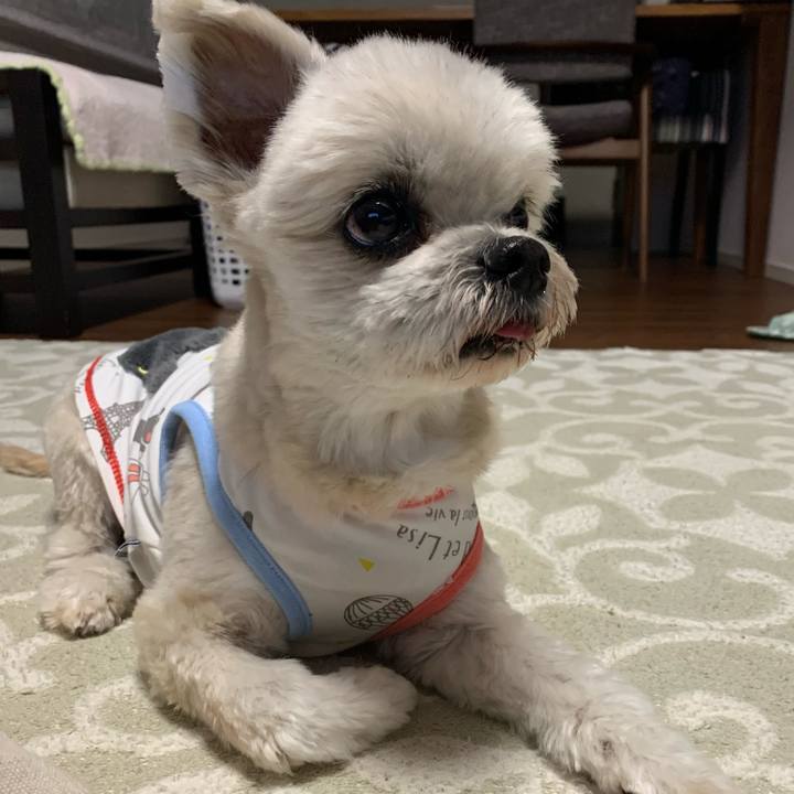 0a577fbe b505 4b5e a7df 125e8b49f9b8 1771671438898