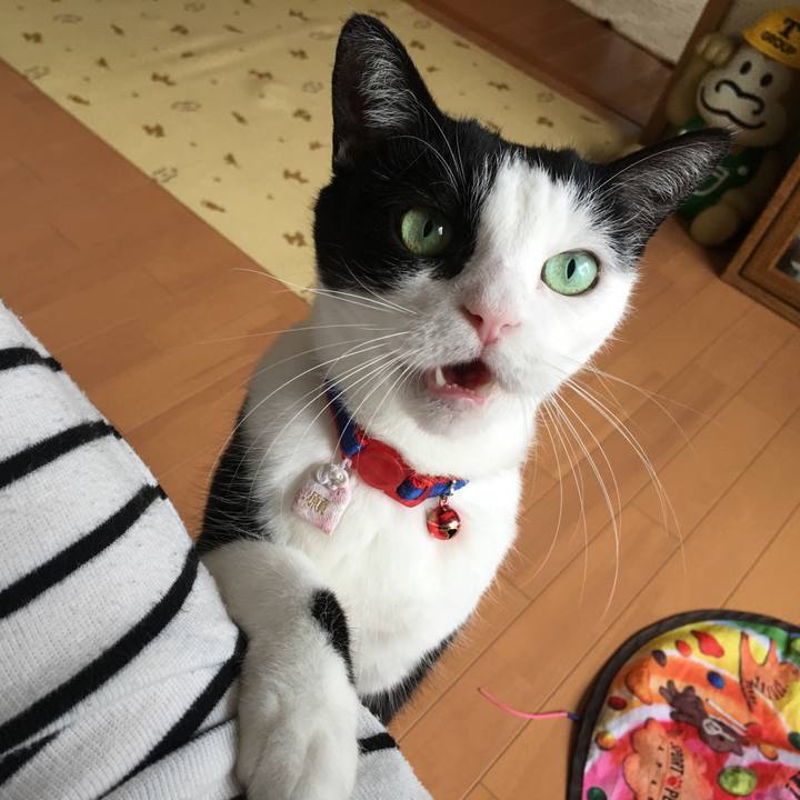 0a57a209 758f 4c18 b832 1598d5be89a1 1534938503895