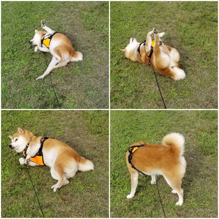 0a57b9e7 c29a 4ac4 bb2a ac86a7305715 1602309214306