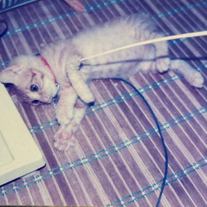 0a57d59b cbbb 4759 b837 533c292ca1f9 1697780393559