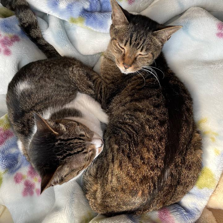 0a581d22 7354 4dbb 9ee3 a1bb0e17644e 1616112805436