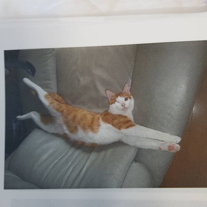 0a58340a e27d 4e6f b355 37e08e70585c 1597451086110