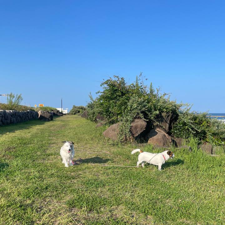 0a587c13 0190 46a5 9888 0769fc11b583 1725490229996