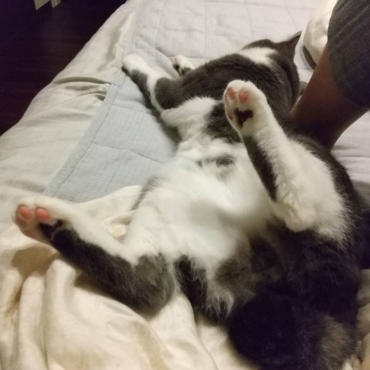 0a5889b7 c660 4f4b 931a 3570857ebd12 1625137774501