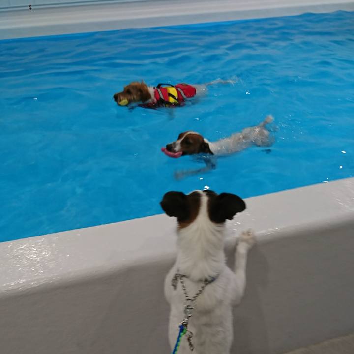 0a588c2a 5d58 4b62 a63a dc63922b2aa5 1600002073491