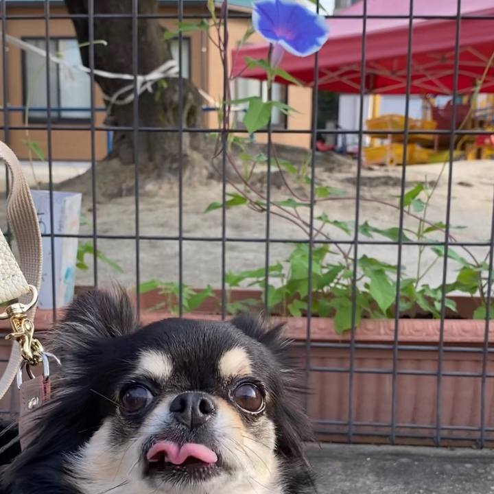 0a58a565 b0c5 4220 b3db ad8ac063d79c 1625957672794