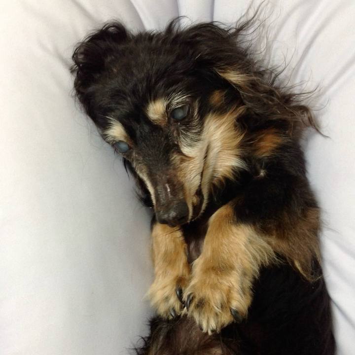 0a58e3ac 640f 40f3 aa82 16f3ca6efe5c 1758649128214