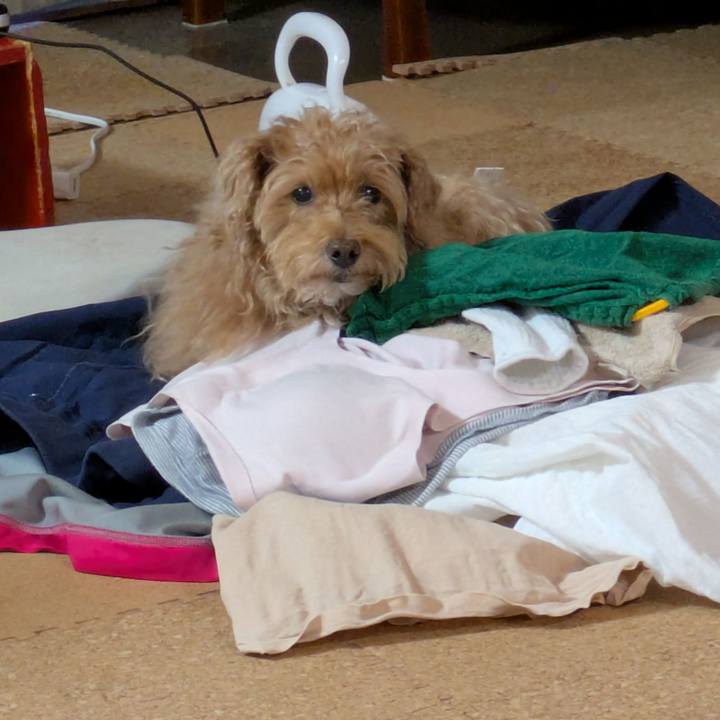 0a58f324 e353 4a71 9db2 b5401503658b 1734246696706