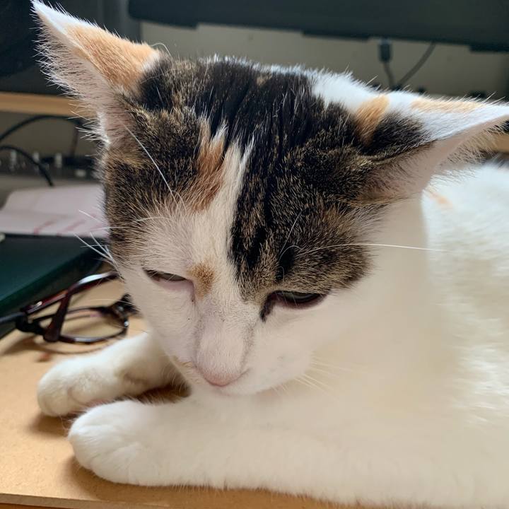 0a58f943 5c2d 4779 a4a9 47ff1db84390 1664159643206