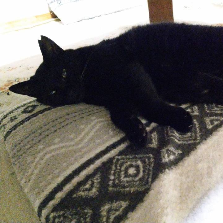 0a58ff49 e625 4ee0 bf61 e435c36e737c 1624578165917