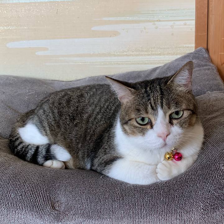 0a590e34 ce23 4421 85f1 f659a36ee12c 1604221238693