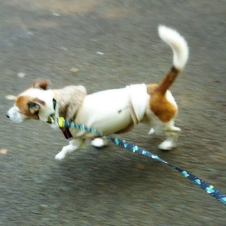 0a59a0cb 6125 4d6a ac23 238c29890e02 1516437095924