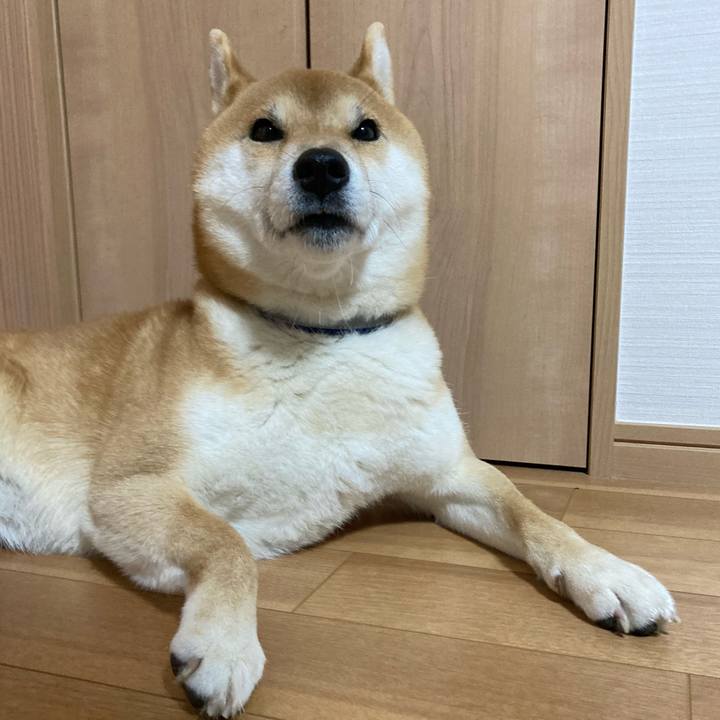 0a59ca49 b5ff 419e bf52 a755daebeb30 1674122212202