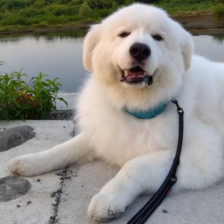 0a5a3ac3 016e 4b3c 802f 83bcf1227e08 1691186188684