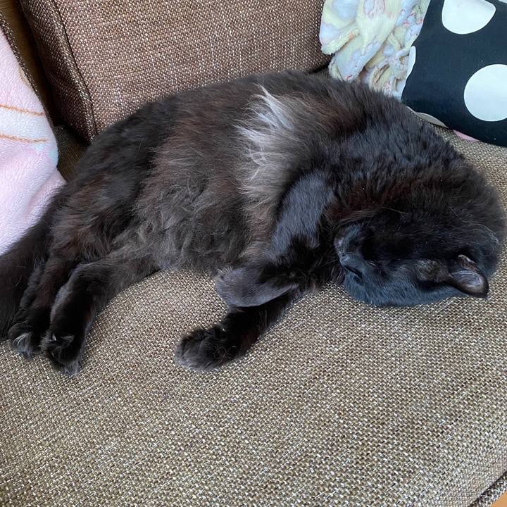 0a5a4279 1435 44cf b0be 88bcec615c78 1636512935381