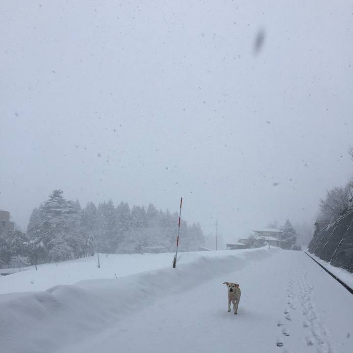 0a5a7286 47de 42ea b4b7 b5cebfb5e4a5 1547450033998