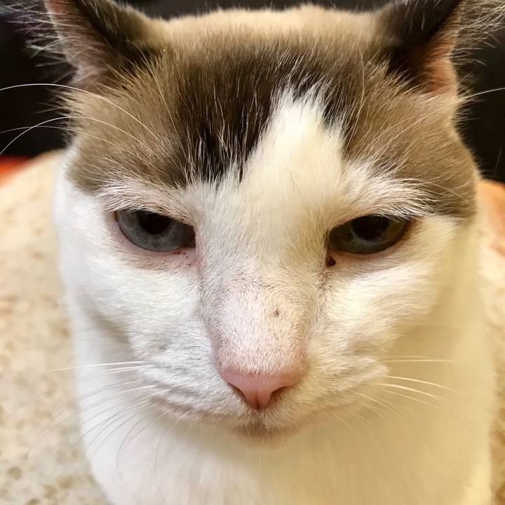 0a5aac3e ea69 4305 86e6 386ce4e2b80a 1569279207801