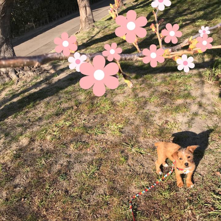 0a5ac595 a769 42ed 98ce a037243ed9a3 1522541346940