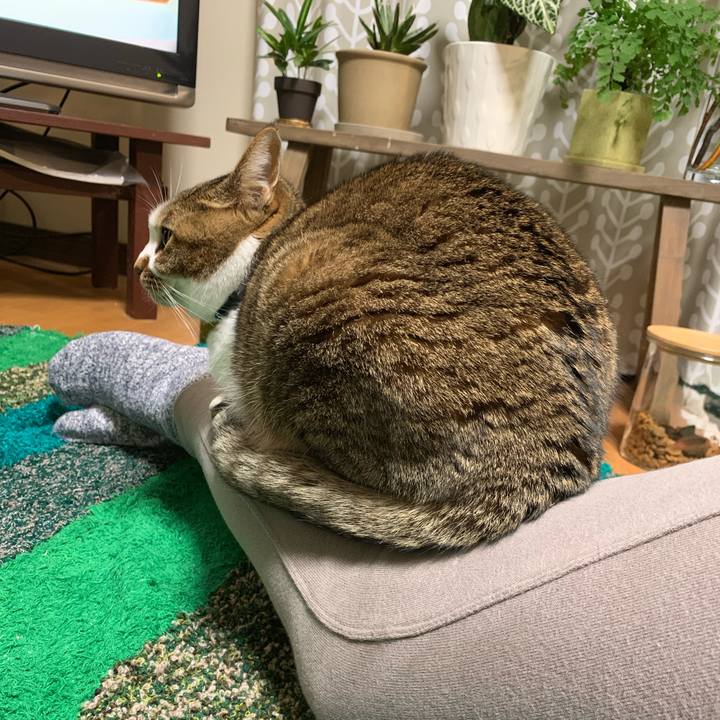 0a5af0a7 17db 4f6a 8ef6 d2a749cb3c6b 1577364583017