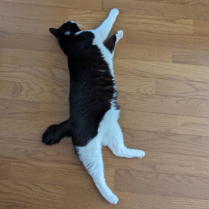 0a5b0eb1 f25b 44aa 8d25 a0e74e2342b8 1710647213893