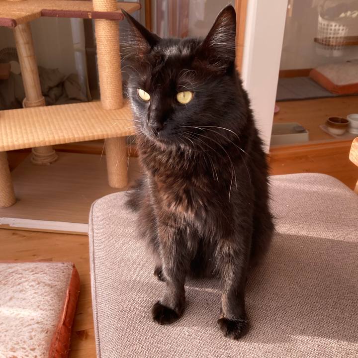 0a5b2154 af10 464c 9c8f 477bce8bcf0f 1735910155301