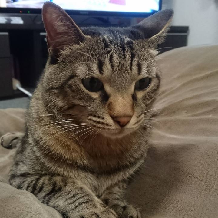 0a5b24cc 73f8 414c 9575 15da86e09571 1510233808864