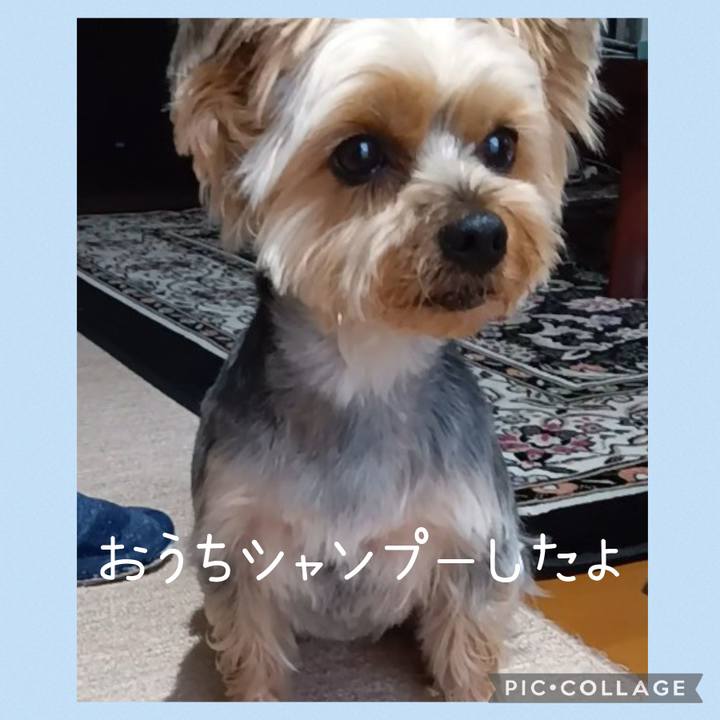 0a5b4e12 d314 4e00 9015 99d7ae00c6c7 1713767886527