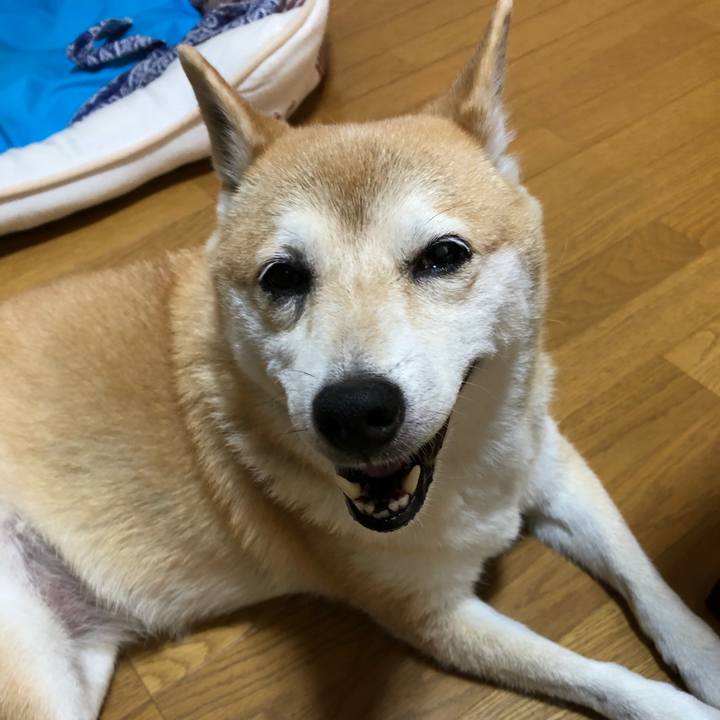 0a5b6531 6d49 4c72 a661 44f8ba407858 1598002419217