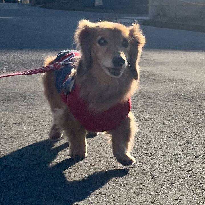 0a5b7152 f69e 4789 aaf9 b4d1e22325b0 1674994193198