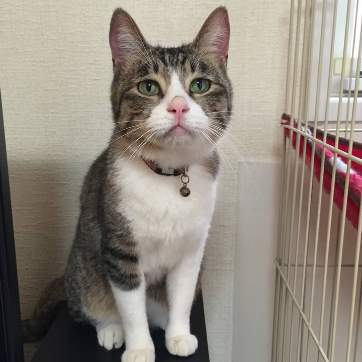 0a5b7333 40d9 4b36 84fa 1e24d0e1145e 1548638233512