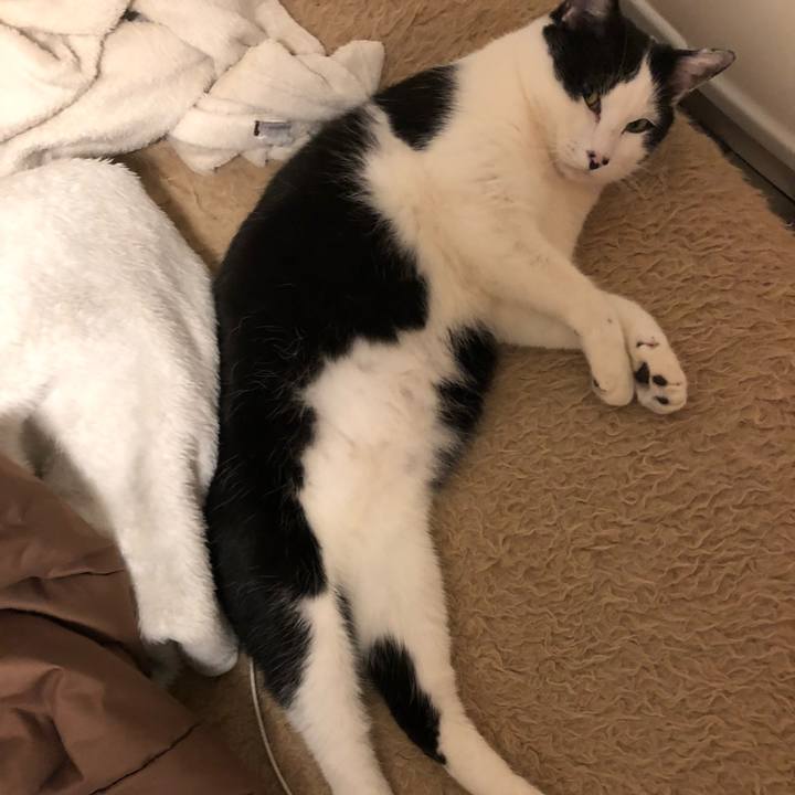 0a5b7d4f b97d 4160 9120 14032f054f56 1551191271224