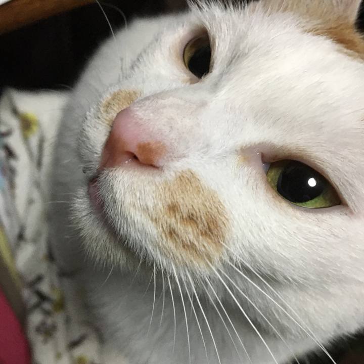 0a5b86d2 05c9 4f90 9438 0631076d07c5 1571579607239