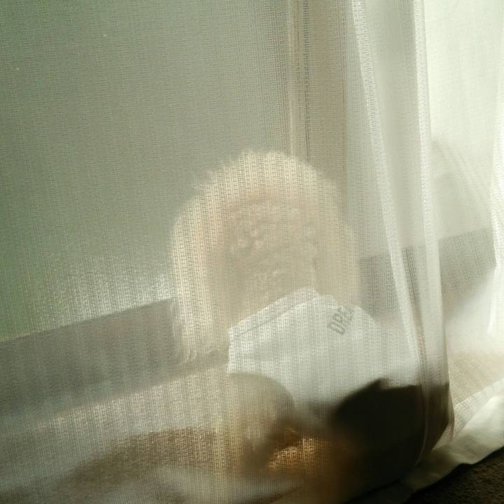 0a5ba8c8 1c5e 415b b58e 09df79a48eae 1537431287344