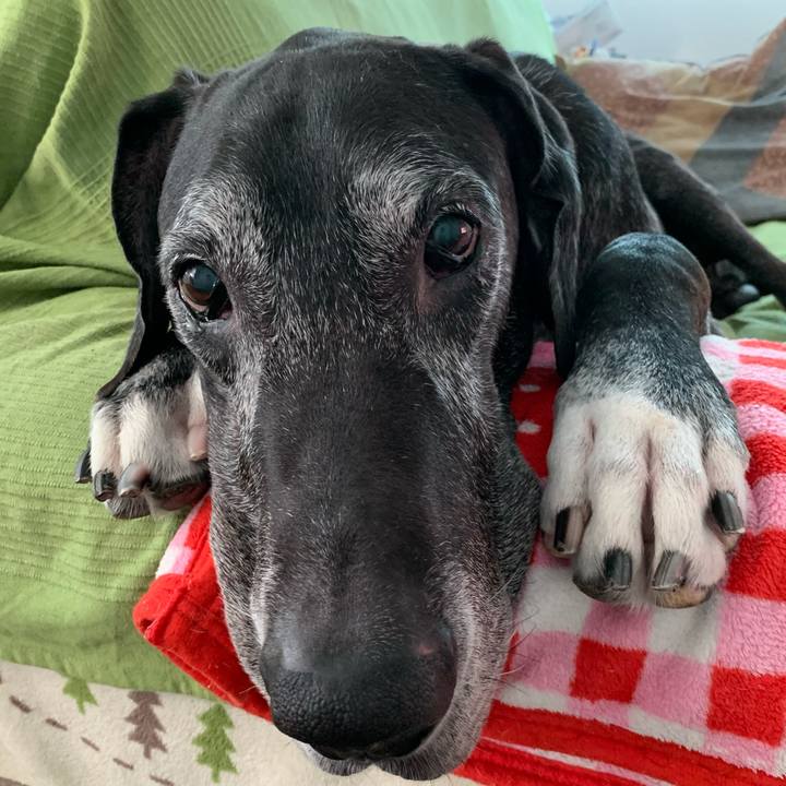 0a5bbf15 d9a0 4cfe 8561 0a49df78cb65 1598396038936